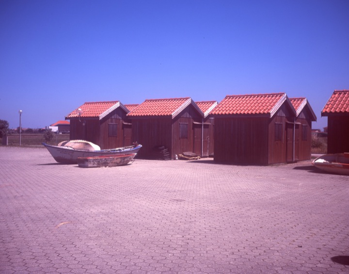 Fuji Velvia 100